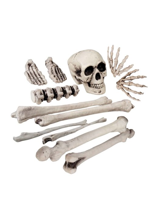 Crâne et os en plastique