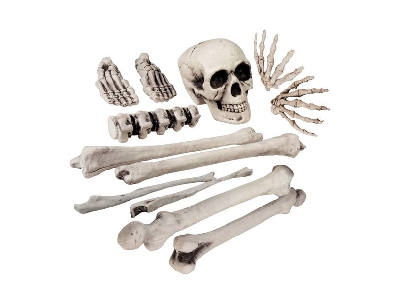 Plastic Skull bones (12 pieces) Halloween / Horror decoration - MisterMask.nl