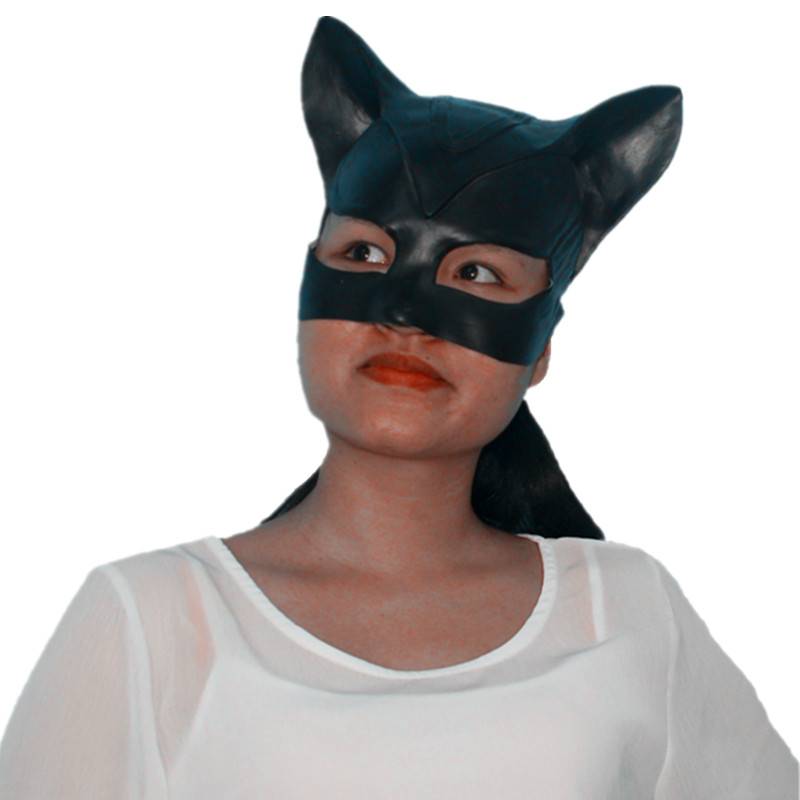 Dakloos Stroomopwaarts Echt Catwoman mask (Batman) - MisterMask.nl