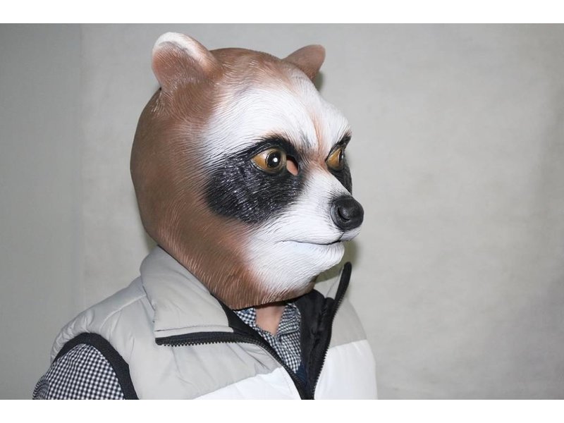 Raccoon mask (brown)