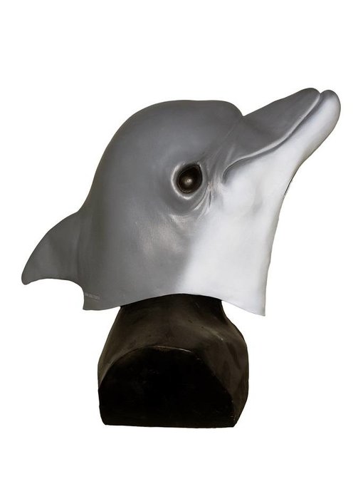 Dolphin mask