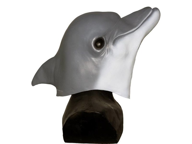 Dolphin mask 