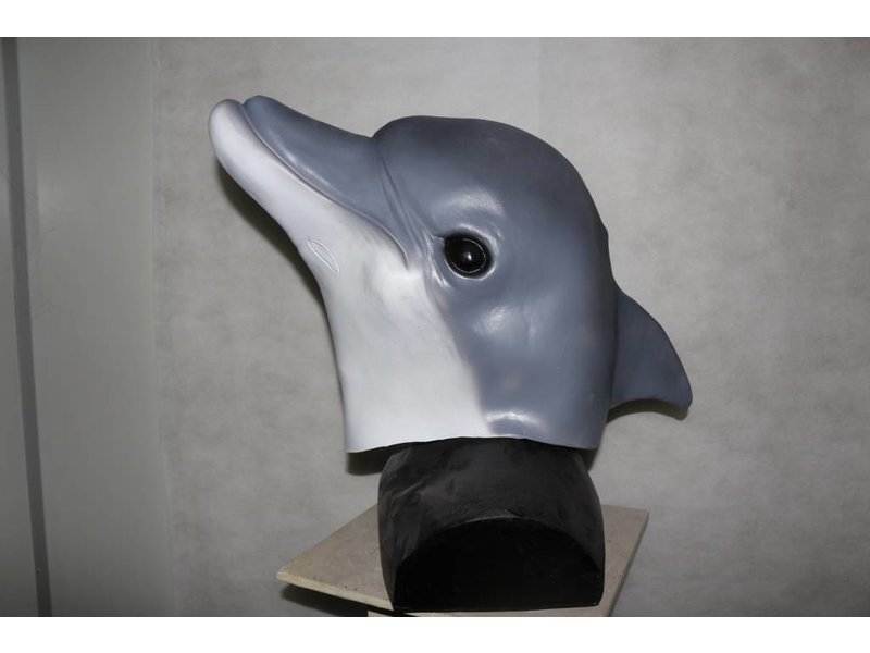 Dolphin mask