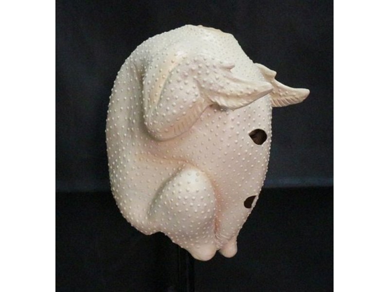 Masque de tête de poulet (Dinde)