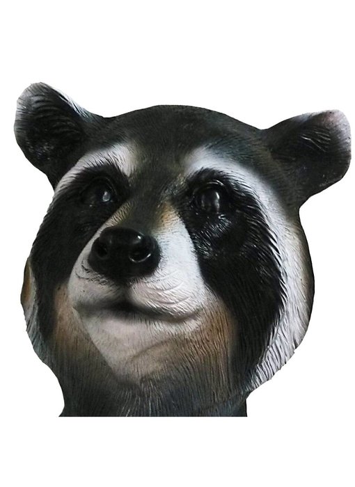 Raccoon mask