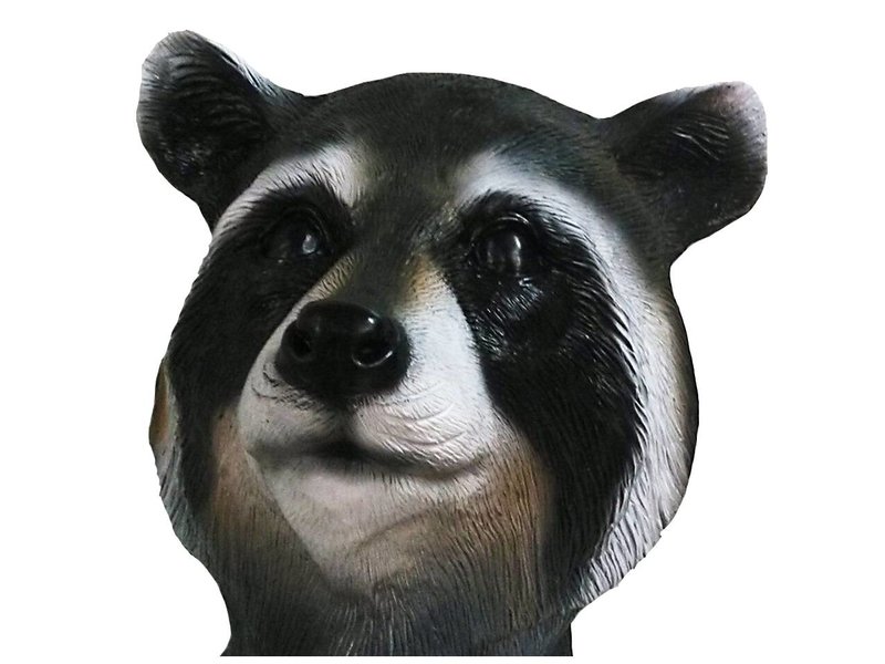 Raccoon mask