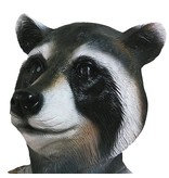 Raccoon mask