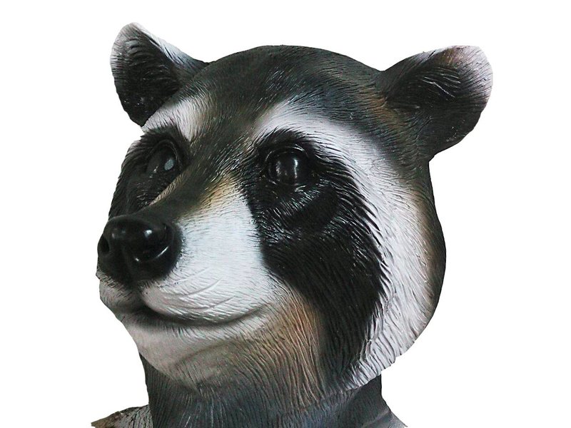 Raccoon mask