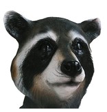 Raccoon mask