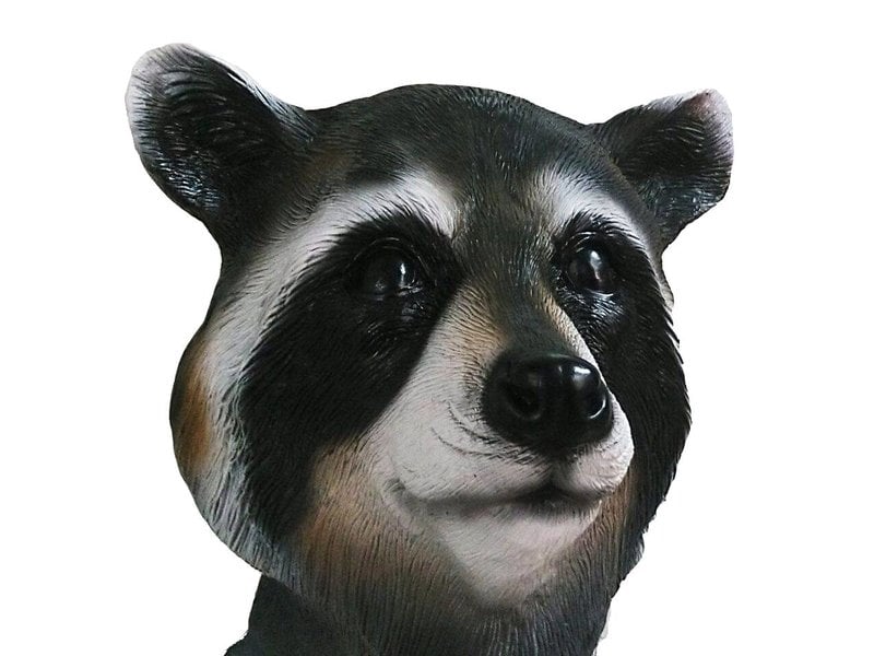 Raccoon mask