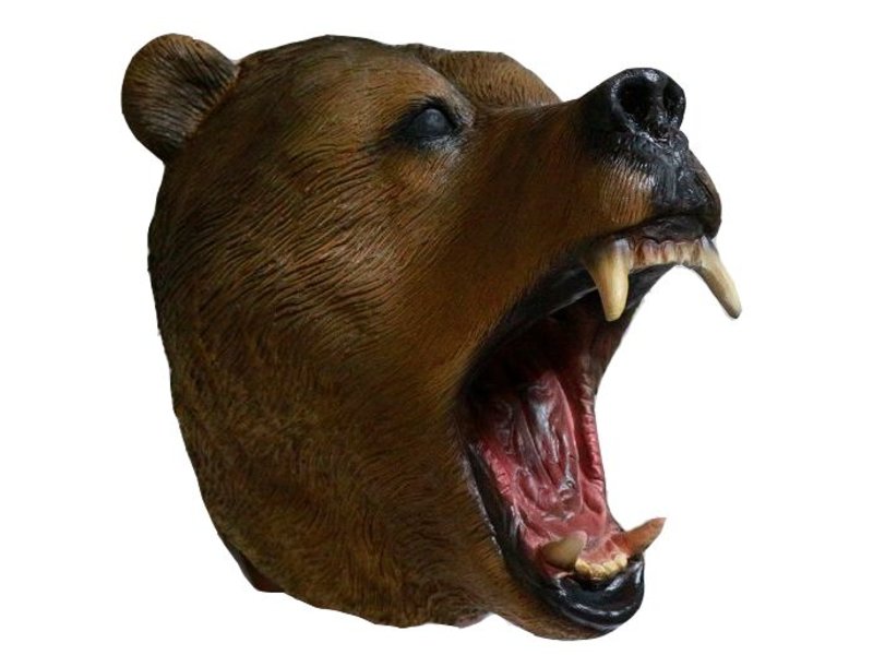 Bear mask