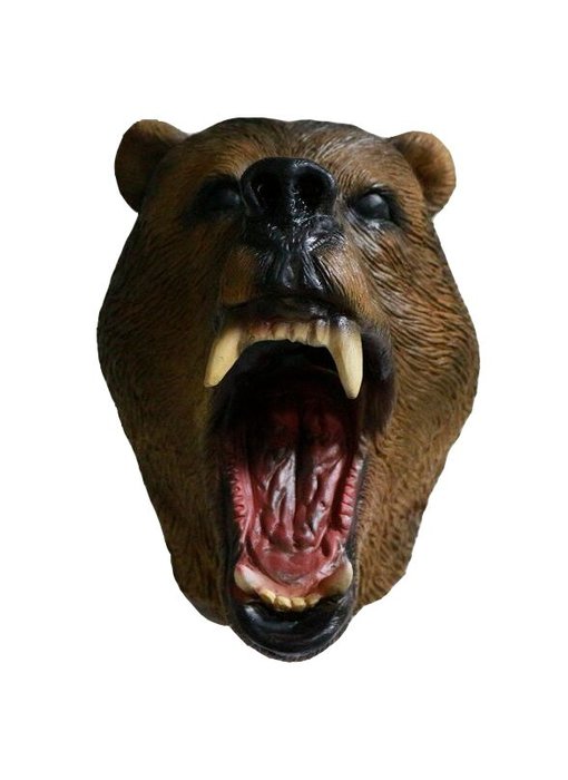 Bear mask