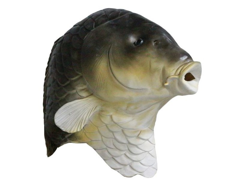 Fish mask 'Carp'