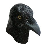 Crow mask