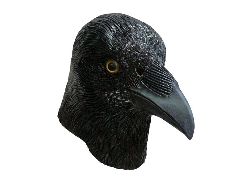 Crow mask