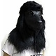 Masque de chien Deluxe  'Caniche noir'