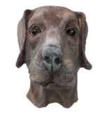 Dog mask 'brown labrador'