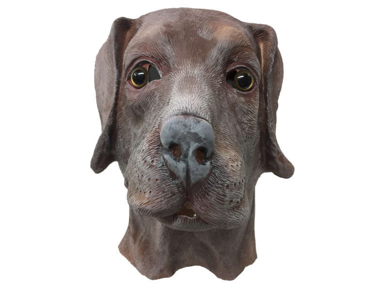 Dog mask 'brown labrador'