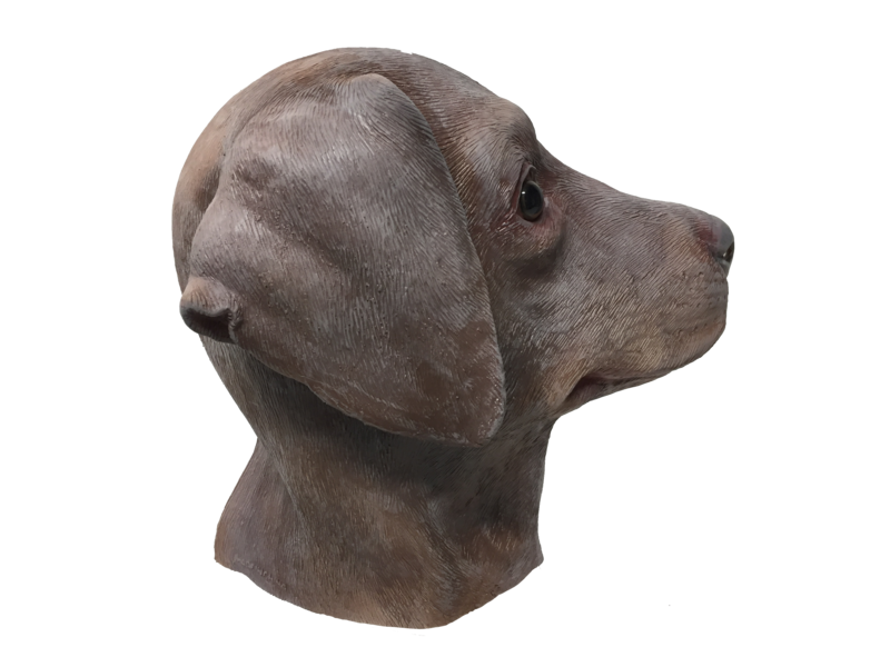 Dog mask 'brown labrador'