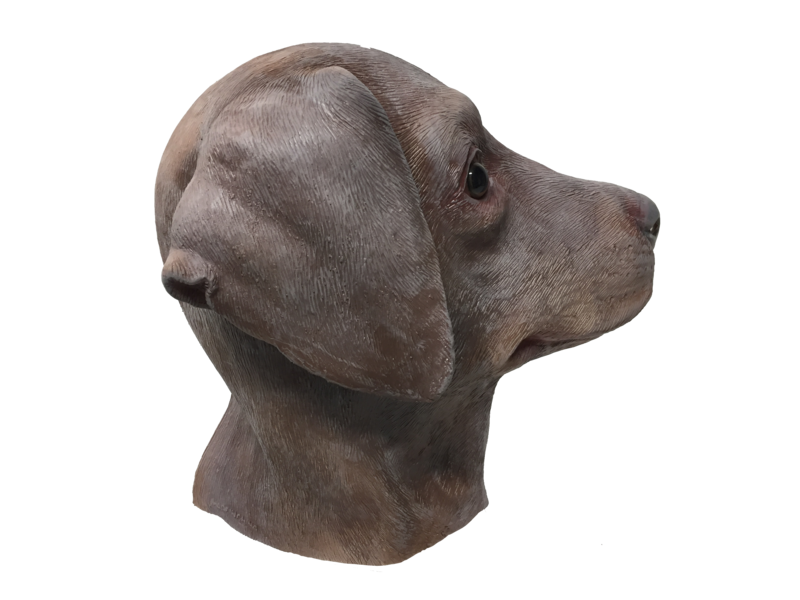 Masque de chien 'labrador marron'