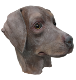 Dog mask 'brown labrador'