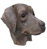 Hondenmasker 'bruine labrador'
