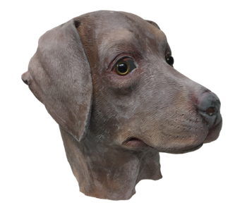 Dog mask 'brown labrador'