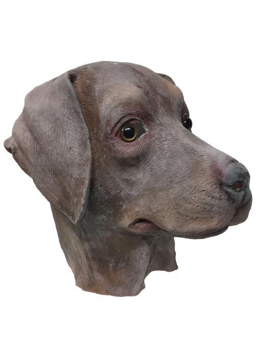 Dog mask 'brown labrador'