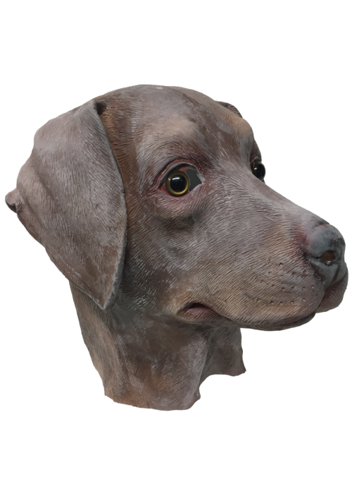 Masque de chien 'labrador marron'