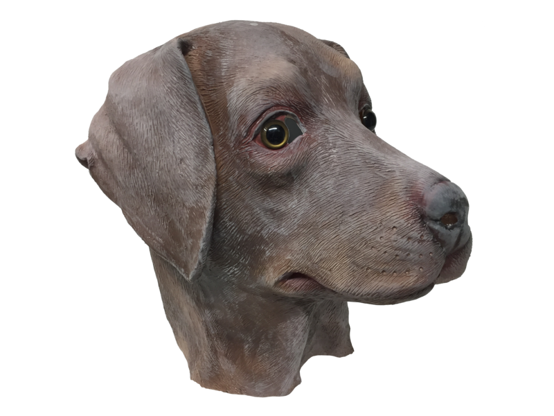 Dog mask 'brown labrador'