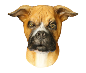 Dog mask 'Boxer'