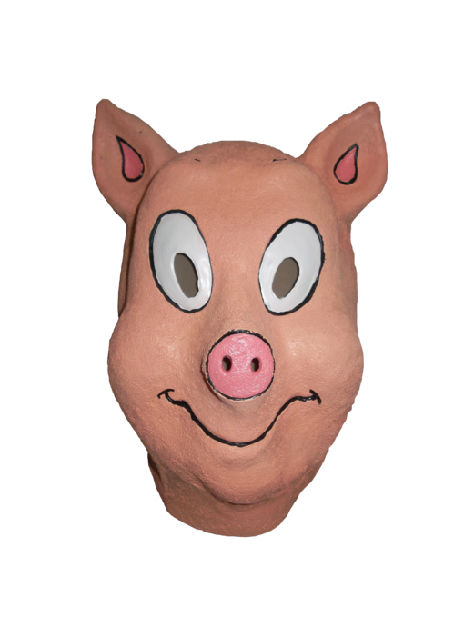 Pig mask Cartoon style