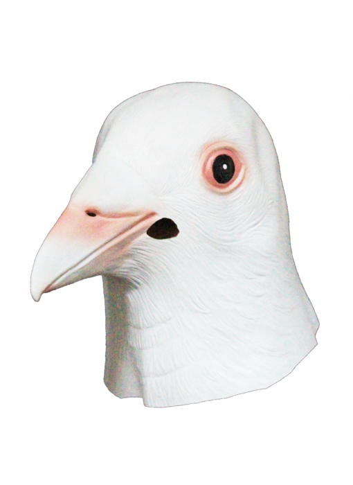 Pigeon mask white