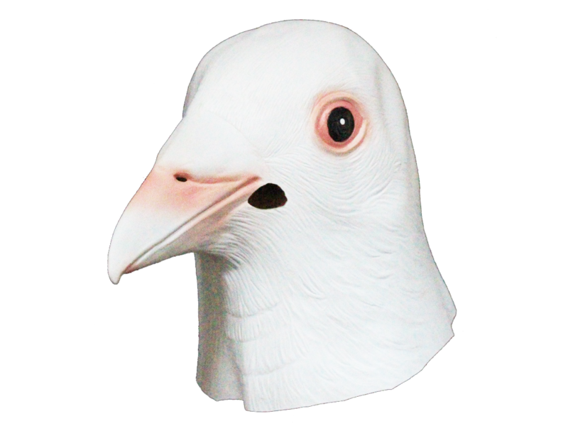 Pigeon mask white