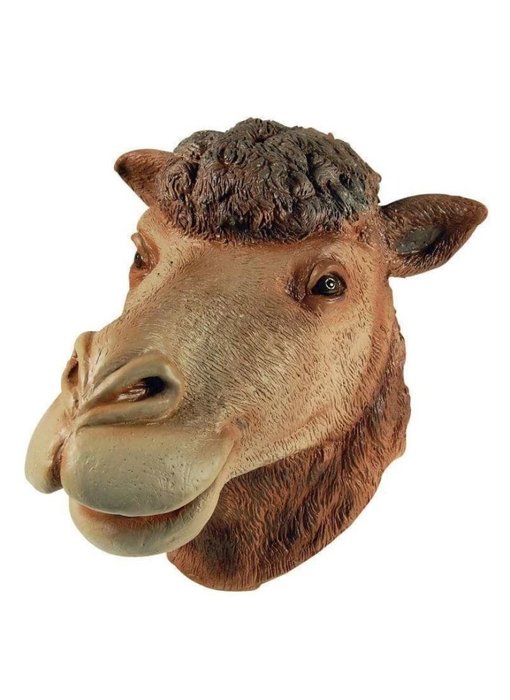 Camel mask