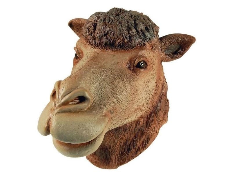 Camel mask