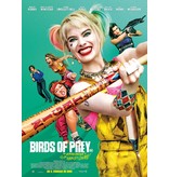 MisterMask.nl Harley Quinn costume | Birds of Prey (2020)