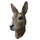 Kangaroo mask