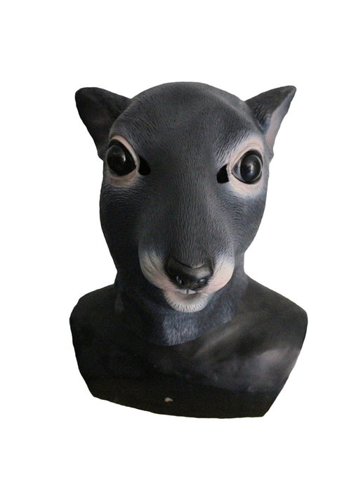 Rat mask