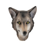 Grijze wolf masker