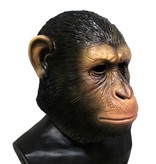 Maschera da scimmia 'Cesare' (Planet of the Apes) Scimpanzé