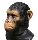 Monkey mask 'Ceasar' (Planet of the Apes) Chimpanzee