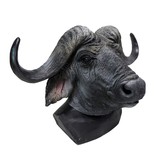 Maschera di bufalo (bufalo d'acqua africano)