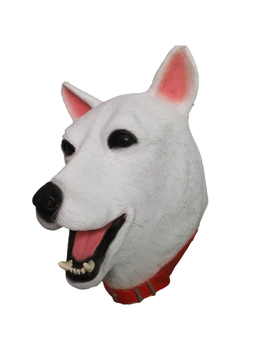 Masque pour chien (chien de berger blanc suisse)