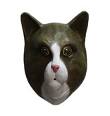 Cat mask (brown white)