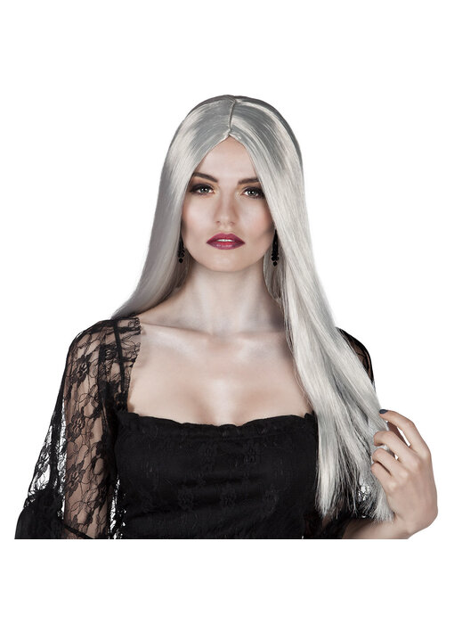 Wig (long silver/white hair)