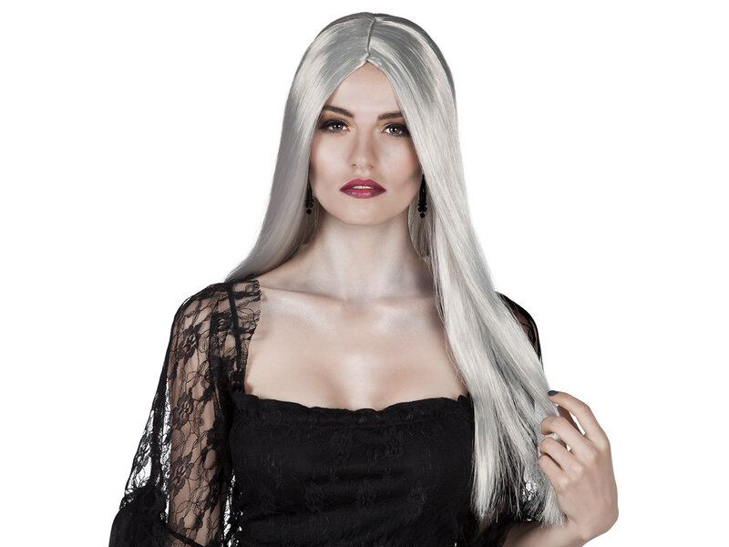 Wig (long silver/white hair)