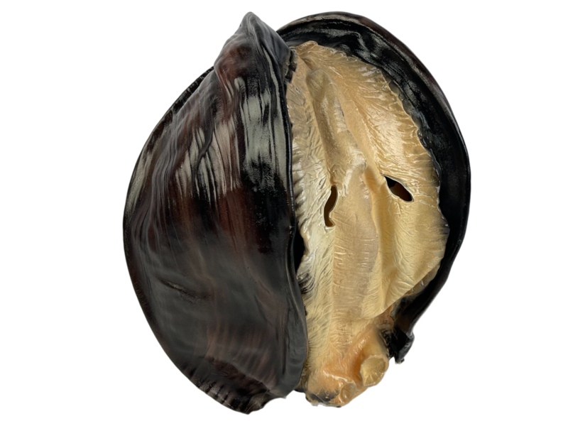 Oyster / Shell / mussel mask