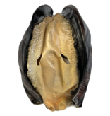 Oyster / Shell / mussel mask