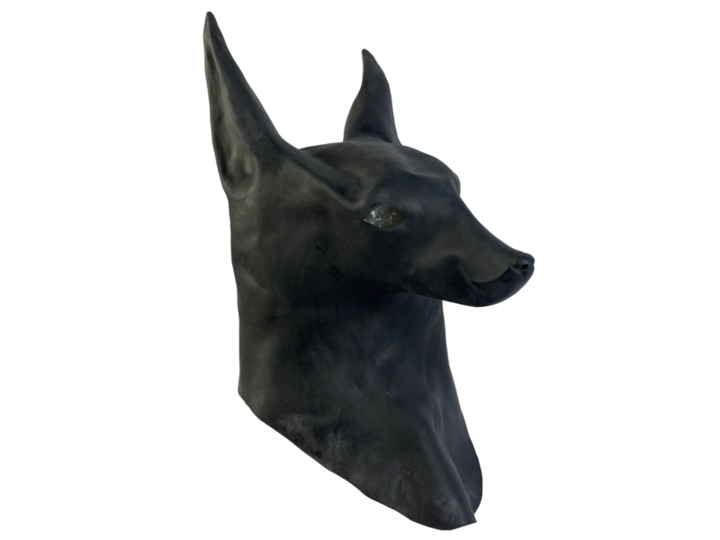 Anubis mask